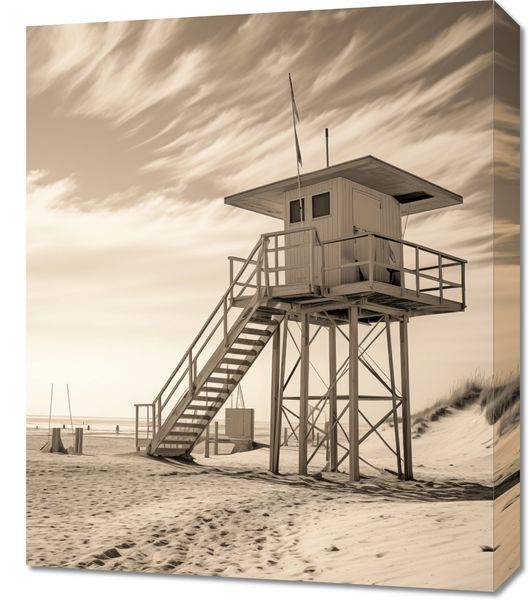 Obraz 50x60cm Strażnik Wydm zdjęcie 1