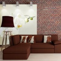 Fototapeta - Biała orchidea 350x270
