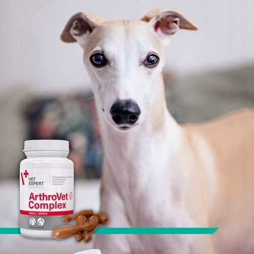 Suplement dla psów małych ras na stawy VET EXPERT ArthroVet Complex 60 kap. na Arena.pl