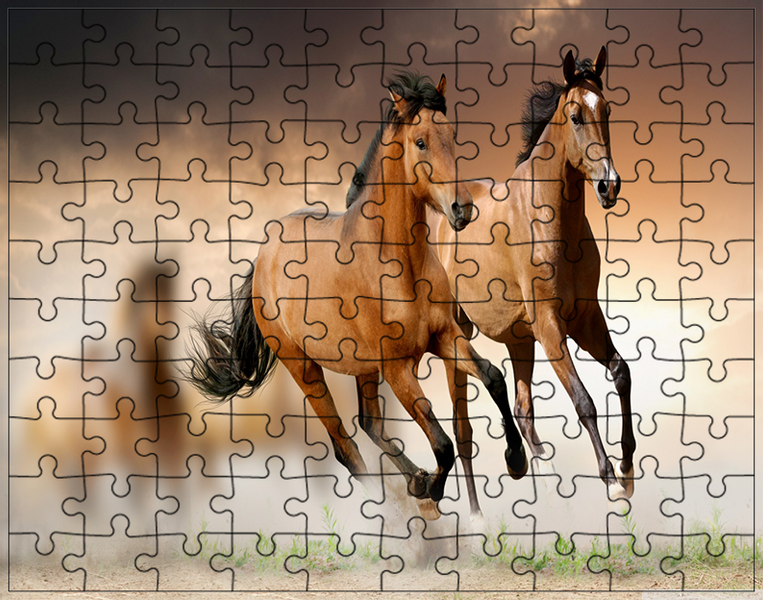 Puzzle Konie zdjęcie 1