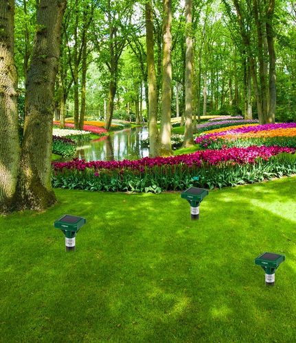 SOLARNY ODSTRASZACZ KRETÓW MOCNY NA GRYZONIE IP65 DO 560m 50-60dB 2SZT. na Arena.pl