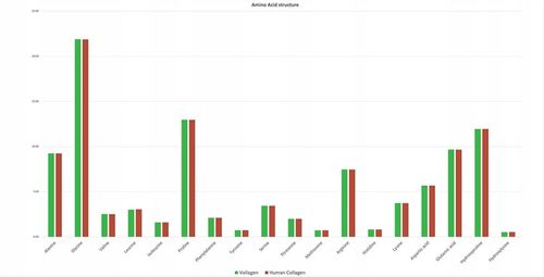 Kolagen wegański na skórę, włosy i stawy, 60kaps na Arena.pl