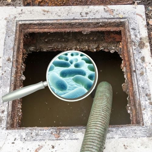 MICROBEC ULTRA PREPARAT BAKTERIE DO SZAMBA OCZYSZCZALNI EUKALIPTUS 1,2 na Arena.pl