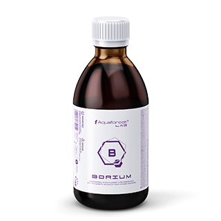 AQUAFOREST Borium LAB 1000ml na Arena.pl