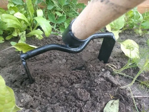 Motyka do chwastów duża na Arena.pl