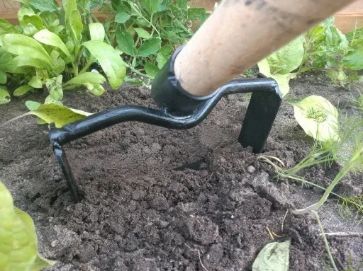 Motyka do chwastów duża zdjęcie 2