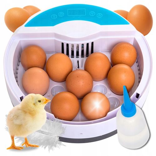 Inkubator wylęgarka automatyczna klujnik jaja kurze jajka na 9 jaj 20W na Arena.pl