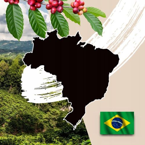 Kawa Smakowa MIELONA POMARAŃCZOWA 200g 100% Arabica Świeżo Palona Baumgart na Arena.pl