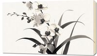 Obraz 100x60cm Orchidea