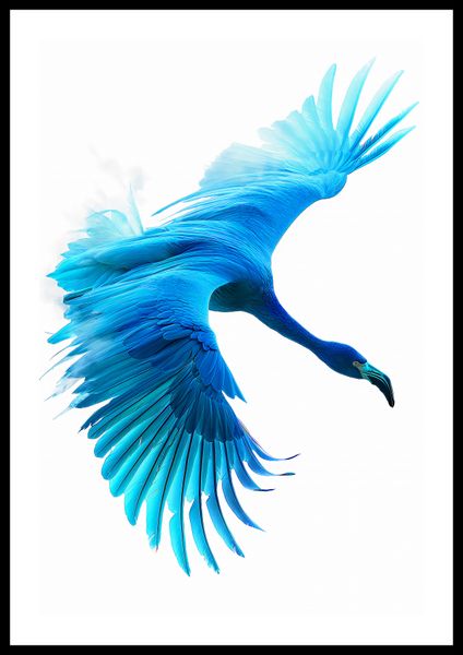 Plakat 40x60cm Błękitny Lot zdjęcie 3