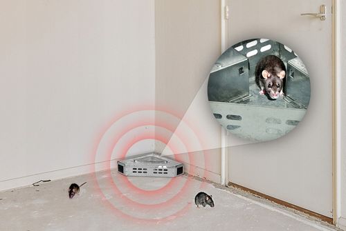 MYSZOŁAPKA ŻYWOŁAPKA PUŁAPKA NA MYSZY SZCZURY CHWYTACZ ODS2 WYTRZYMAŁA na Arena.pl