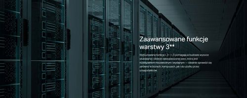 SWITCH TP-LINK TL-SG2218 na Arena.pl