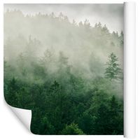 Fototapeta Las we Mgle Zieleń NATURA do Sypialni 360x240