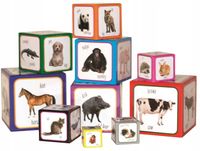 Piramida Zabaw Do Nauki Wieża Dwujęzyczna Zwierzęta 50 Słów od 1 roku