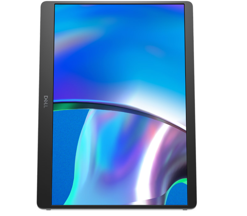 Dell LCD P1425 14" IPS WUXGA/1920x1200/USB-C/Silver na Arena.pl
