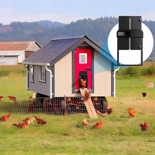 AUTOMATYCZNE DRZWI DO KURNIKA OTWIERANIE DRZWI Z TIMEREM METALOWE CZUJNIK na Arena.pl