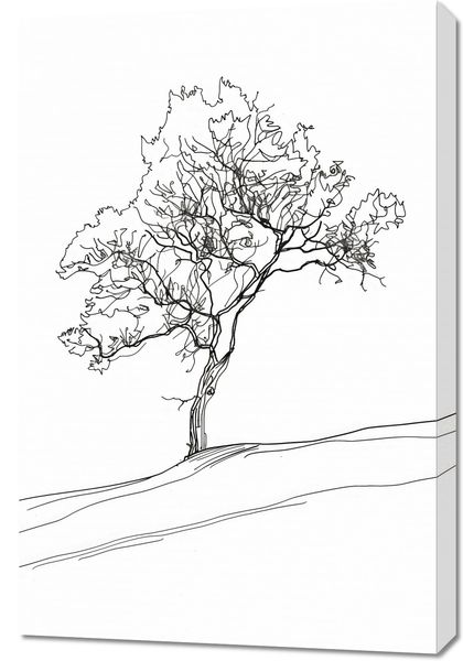 Obraz 60x90cm Drzewo w Zarysie zdjęcie 1