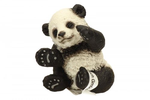 Mała Panda bawiąca się na Arena.pl