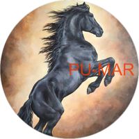 Opłatek na tort KONIE Koń Mustang Konik Kuc Urodziny Tekst Gratis