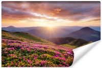 Fototapeta Góry Zachód Słońca Kwiaty PEJZAŻ do Salonu 368cm x 254cm