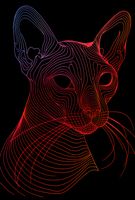 Plakat 67,5x100cm Cyfrowa Kocica