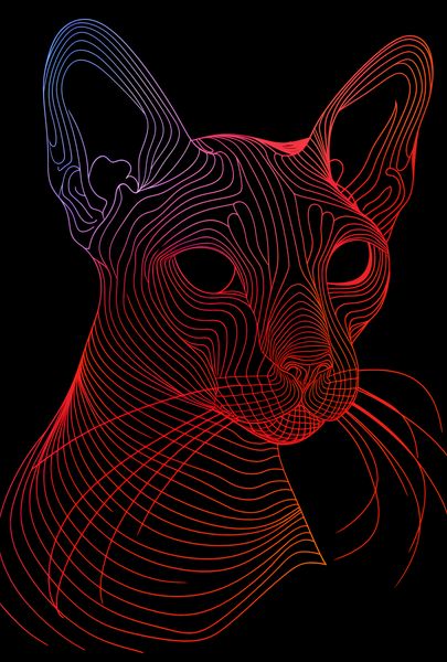 Plakat 67,5x100cm Cyfrowa Kocica zdjęcie 1