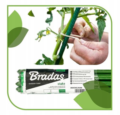 Tyczka Podpora Palik do Pomidorów Roślin Kwiatów 1,1 x 150 cm 10 szt na Arena.pl