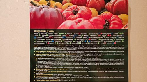 Książka infouprawa JAK UPRAWIAĆ WARZYWA + Kalendarz Warzywnika 2024 na Arena.pl