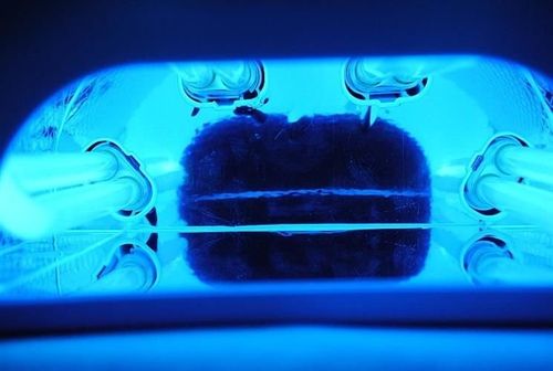 Żarówka do lamp UV na Arena.pl