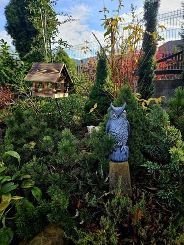 Drewniany KARMNIK XXL DLA PTAKÓW Solidny karmik opalane drewno na Arena.pl