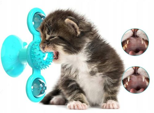 Gryzak z kocimiętką Interaktywna zabawka z przyssawką dla kota ŚWIECĄCA 360 na Arena.pl