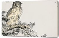Obraz 90x60cm Japanese Scops Owl, Kashu Vintage do Salonu