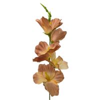 product-compare-61191005