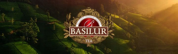 Herbata zielona Basilur Sencha Classics Ceylon - 100 x 1,5 g zdjęcie 5