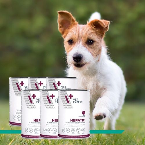Mokra karma dla psów wsparcie wątroby kurczak Vet Expert Hepatic 6 x na Arena.pl
