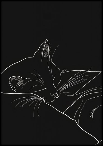 Plakat 70x100cm Nocny Spokój zdjęcie 2