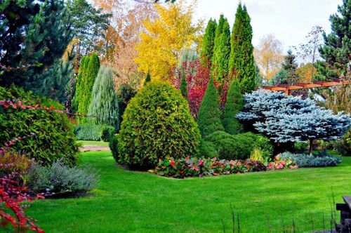 Sumin Nawóz Do Iglaków Jesienny 1Kg Optymalny Skład Granulat na Arena.pl