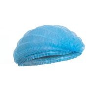 Czepek Clipcap Niebieski 100 Szt Procera Prc-Clipcap Blue 100 Szt Bhp Robocze