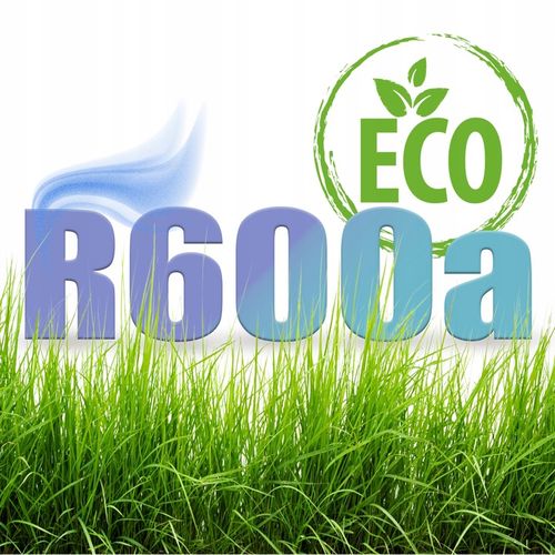 Czynnik chłodniczy klimatyzacji lodówki R600a 1000ml 420g + x 3 na Arena.pl