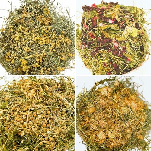 SIANKO Z KWIATAMI DLA KRÓLIKA I GRYZONIA ŚWIEŻE PACHNĄCE KWIATY 4 KG ZESTAW na Arena.pl