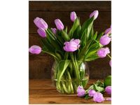 40X50CM NOWALIJKI OBRAZ