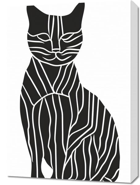 Obraz 50x70cm Zebra w Kocim Ciele zdjęcie 1