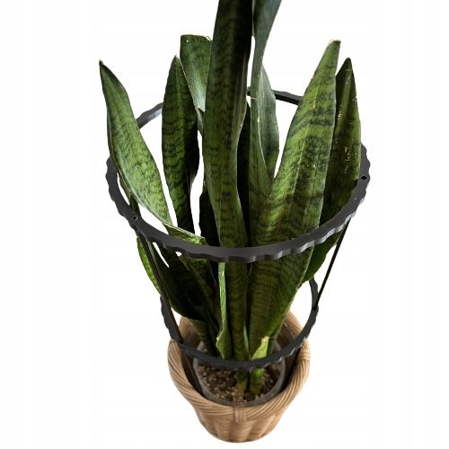 Podpórki do roślin kwiatów podpora pierścieniowa podpórka RINGS S33cm 16/18 na Arena.pl