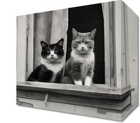 Obraz 20x20cm Para w Oknie