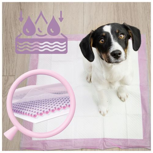 PODKŁADY HIGIENICZNE MATY DLA PSA PSOW NAUKA SIKANIA CHLONNE 60x40 cm 100sz na Arena.pl