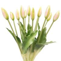 TULIPANY SILIKONOWE jak ŻYWE 34 cm TULIPAN RÓŻOWY ZIELONY