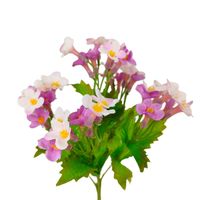 Bukiecik niezapominajka x5 kremowo- różowy