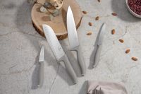 Zestaw Nozy Berlinger haus Taupe BH-2960 4 szt