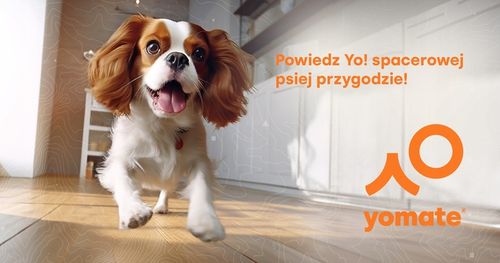 MAŁY PIES do 15 KG - LEKKA SMYCZ dla PSA / MOCNA TAŚMA ZWIJANA AUTOMATYCZNA na Arena.pl