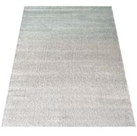 Dywan Ladon 05 160 x 230 cm wielokolorowy